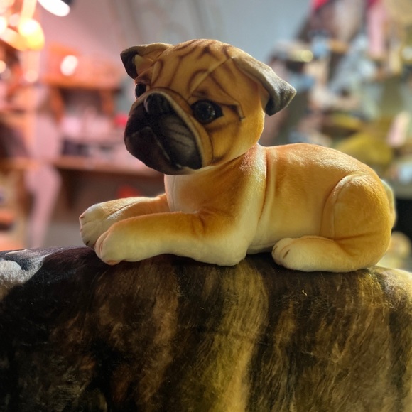 Brand new – #936 Akita Plush - adorable and lovable 12 1/2 inches long - Picture 1 of 6